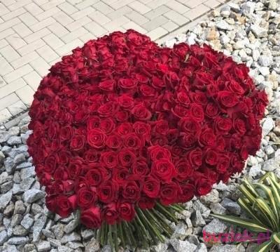 Cezary , Mężczyzna, 57, Niemcy, Zdjęcie: 3