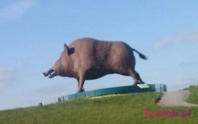 leszek, Male, 53, Nakło nad Notecią, Polska, Photo: 5