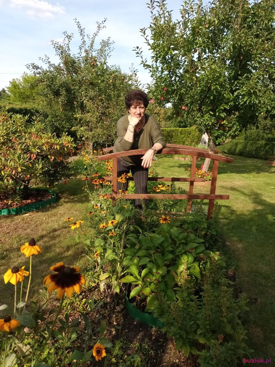 Zofia, Female, 66, Gorzów Wielkopolski, Polska, Photo: 8