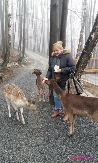 Anita, Kobieta, 54, Cologne, Niemcy, Zdjęcie: 4