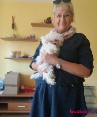 Baja, Female, 61, Łódź, Polska, Photo: 2