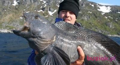 Fabian, Male, 59, Gorzów Wielkopolski, Polska, Photo: 2