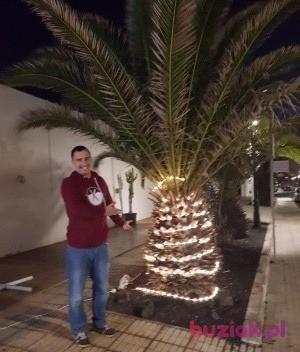 Krzysztof, Male, 38, Radom, Polska, Photo: 6