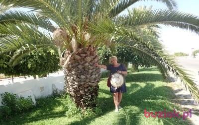 Henia, Female, 64, Szczecin, Polska, Photo: 1
