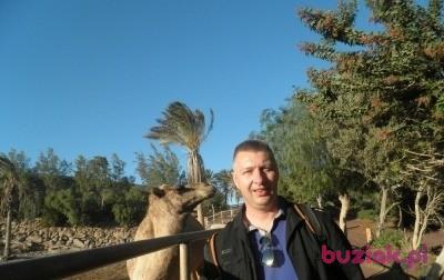 Krzysztof, Male, 54, Frederiksberg, Dania, Photo: 2