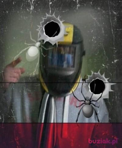 Lukasz, Mężczyzna, 42, Wielka Brytania, Zdjęcie: 5