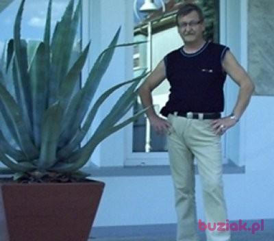 Romuald, Mężczyzna, 75, Opole, Polska, Zdjęcie: 3