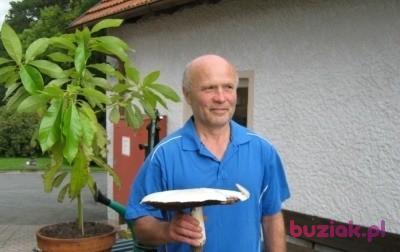 Czeslaw, Male, 72, Nürnberg, Niemcy, Photo: 2