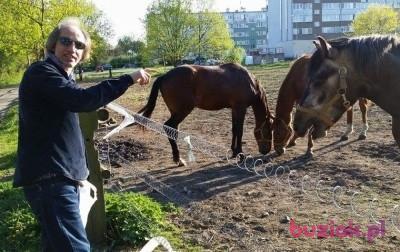Adam, Mężczyzna, 67, Wrocław, Polska, Zdjęcie: 2