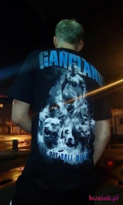 bartek19200, Mężczyzna, 35, Katowice, Polska, Zdjęcie: 3