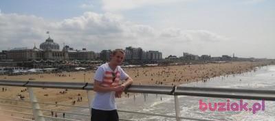 Rafał, Male, 35, Holandia, Photo: 3