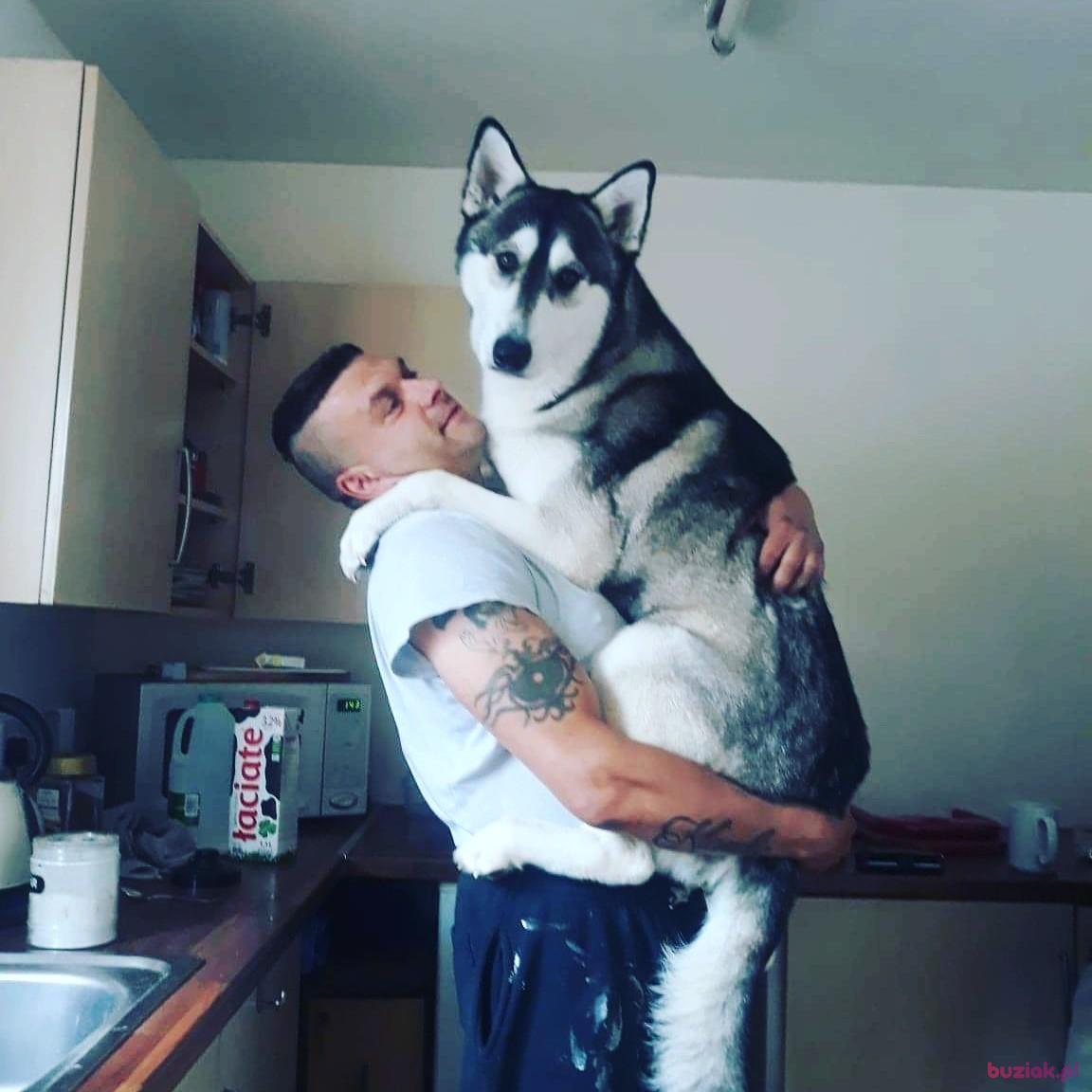 robert, Male, 50, Boston, Wielka Brytania, Photo: 1