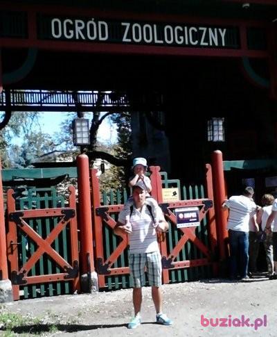 Tomasz, Mężczyzna, 40, Wielka Brytania, Zdjęcie: 3