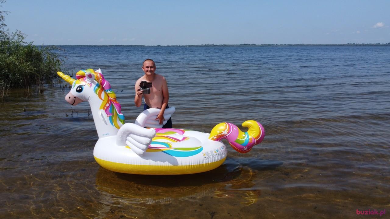 Michał, Mężczyzna, 37, Zgierz, Polska, Zdjęcie: 429