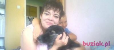 Bożena, Female, 50, Czechowice-Dziedzice, Polska, Photo: 9