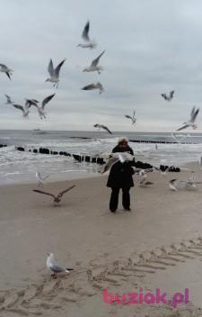 Aneri51, Female, 74, Ostrów Wielkopolski, Polska, Photo: 3