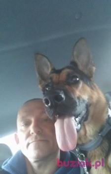 piotrek, Male, 42, Bytom, Polska, Photo: 2