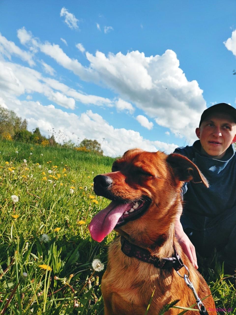 Bartłomiej, Mężczyzna, 27, Hamburg, Niemcy, Zdjęcie: 3