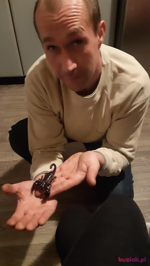 adas, Male, 44, Piotrków Trybunalski, Polska, Photo: 3