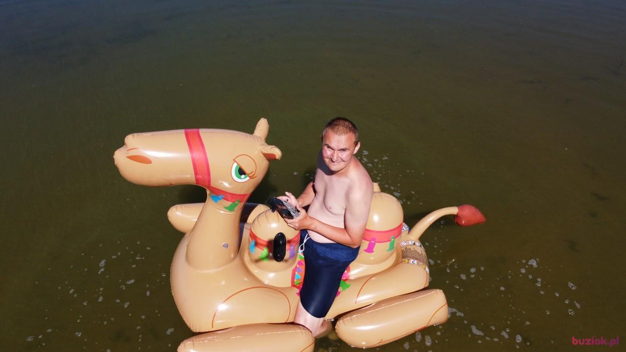 Michał, Mężczyzna, 37, Zgierz, Polska, Zdjęcie: 463