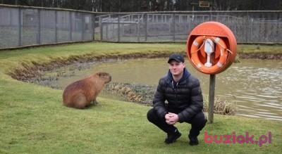 Kamil, Male, 32, Rotherham, Wielka Brytania, Photo: 1
