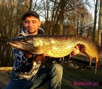 Szymon, Mężczyzna, 42, Oświęcim, Polska, Zdjęcie: 2
