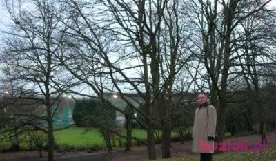 george, Male, 76, Glasgow, Wielka Brytania, Photo: 5