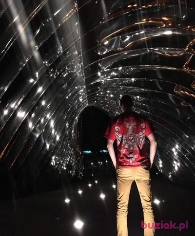 Dawid , Mężczyzna, 37, Wrocław, Polska, Zdjęcie: 3