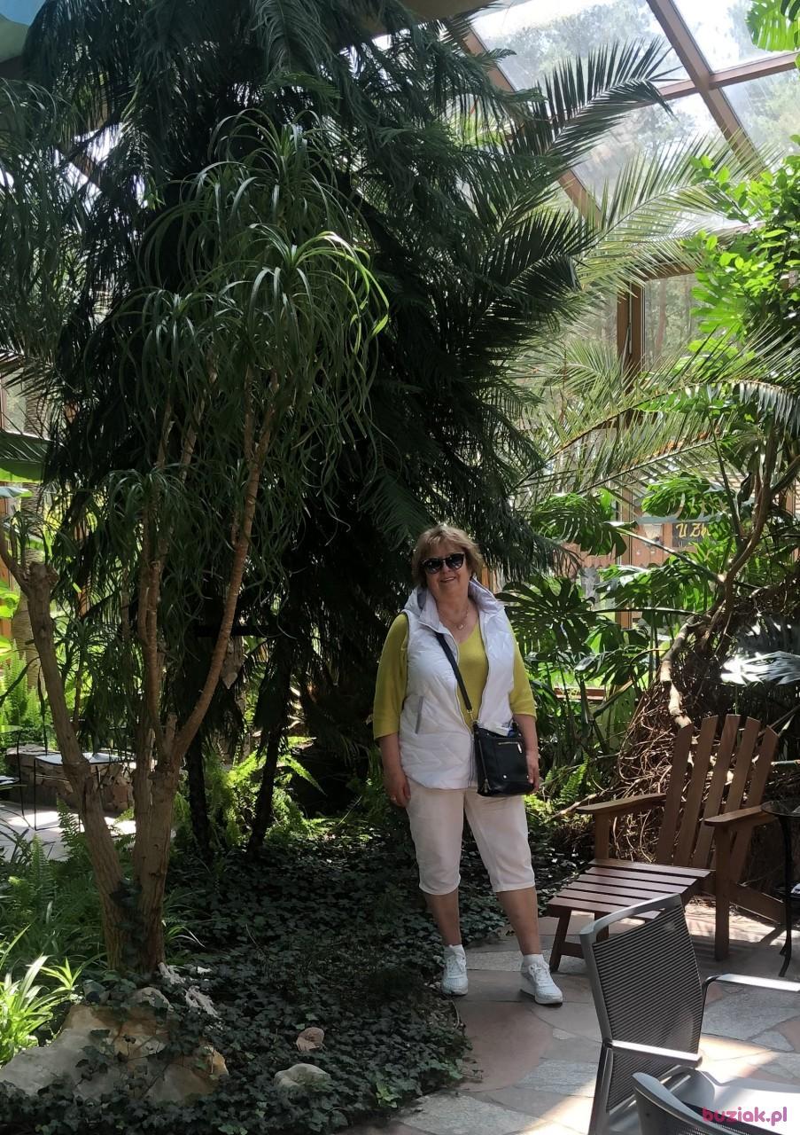 Teresa, Female, 70, Westminster, Wielka Brytania, Photo: 6
