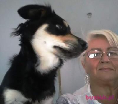 Danuta, Female, 65, Bieruń, Polska, Photo: 2