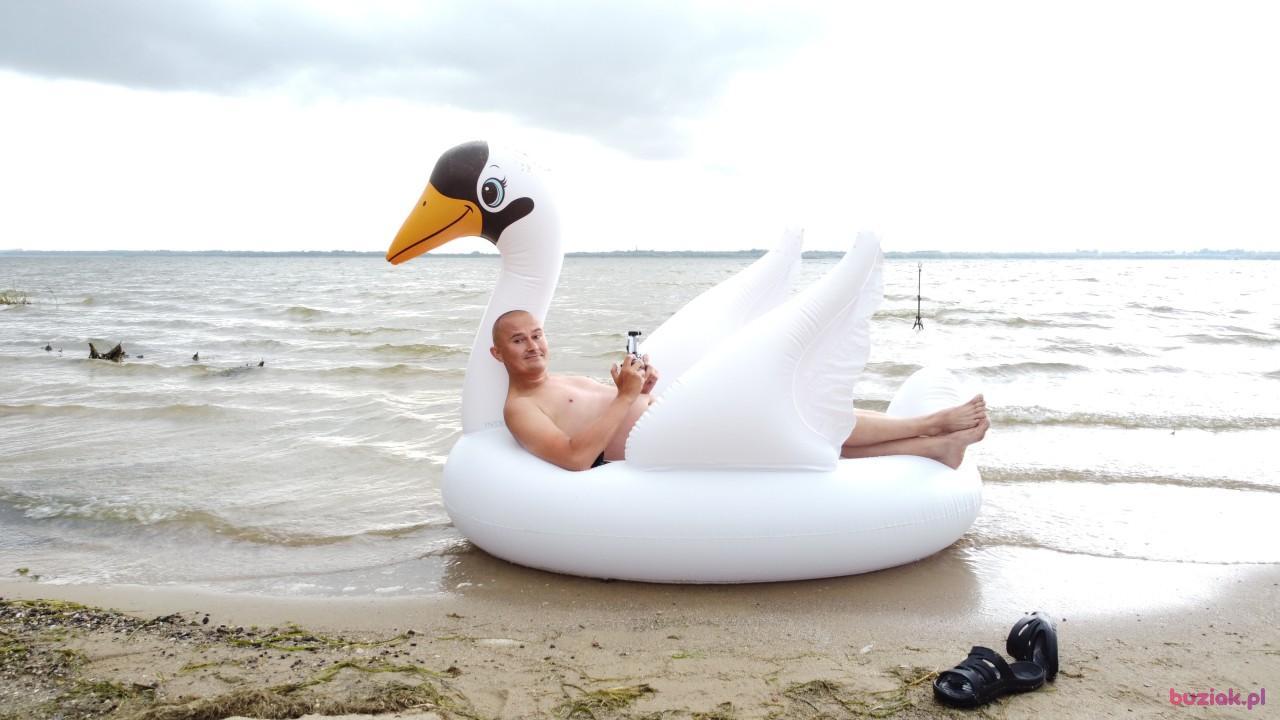 Michał, Mężczyzna, 37, Zgierz, Polska, Zdjęcie: 558