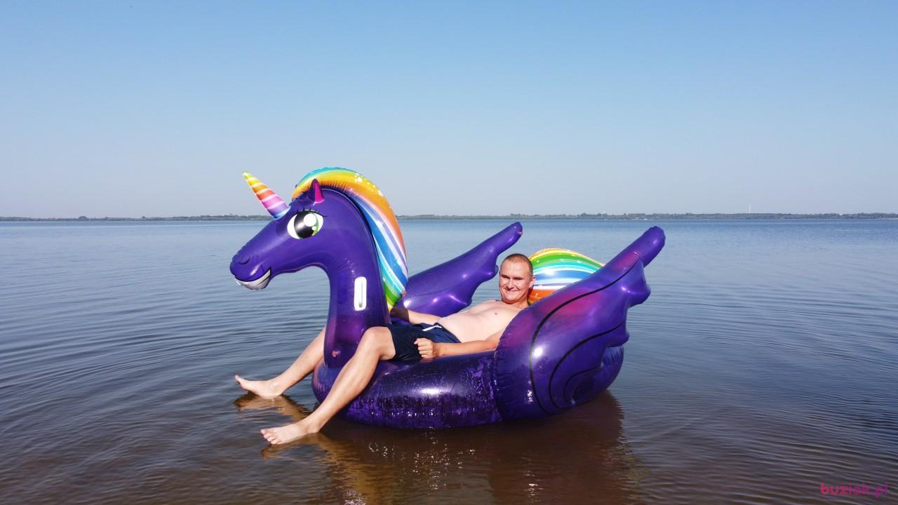 Michał, Mężczyzna, 37, Zgierz, Polska, Zdjęcie: 599