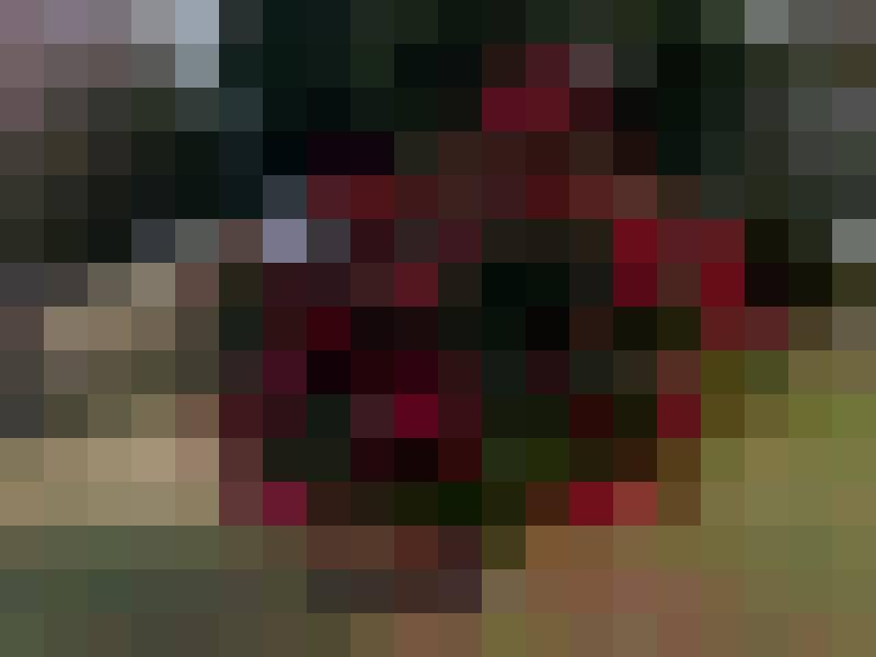 Magda, Female, 29, Arcen, Holandia, Photo: 2