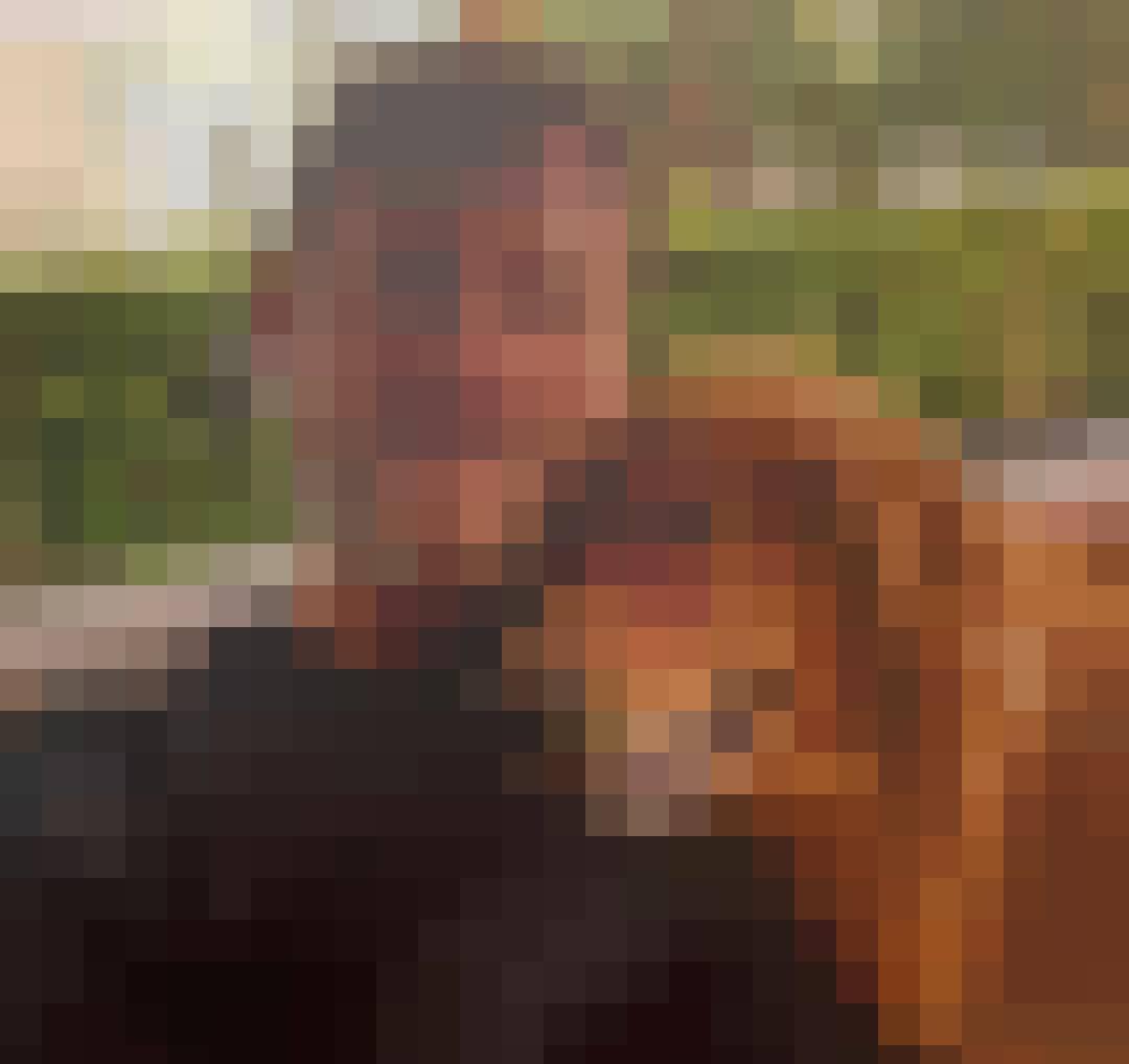 tony, Male, 62, Wielka Brytania, Photo: 3