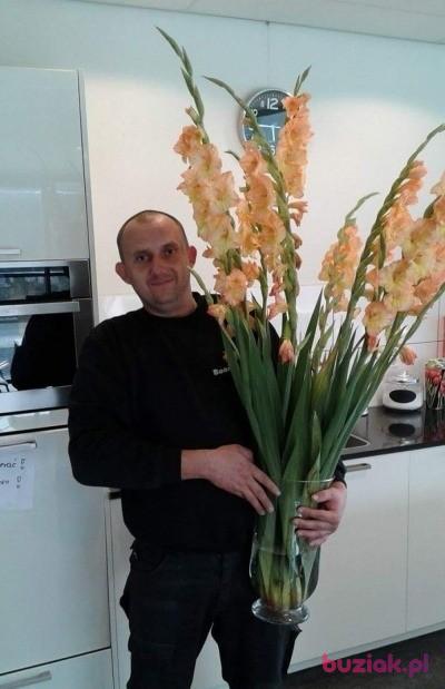 gregorosp84, Male, 42, Kluczbork, Polska, Photo: 2