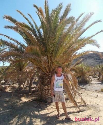 mateusz, Male, 39, Nowogrodziec, Polska, Photo: 6