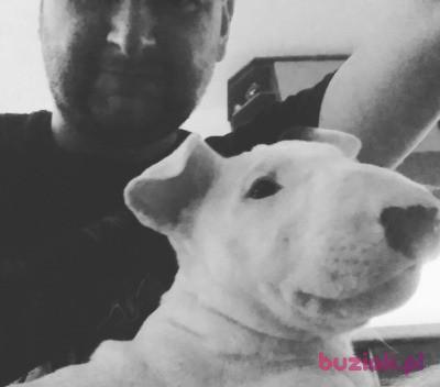 Łukasz, Male, 44, Gdynia, Polska, Photo: 2