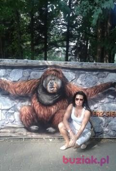 Daria, Kobieta, 36, Wrocław, Polska, Zdjęcie: 1