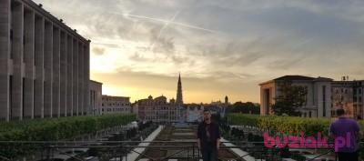 Adrian, Mężczyzna, 35, Gdańsk, Polska, Zdjęcie: 3