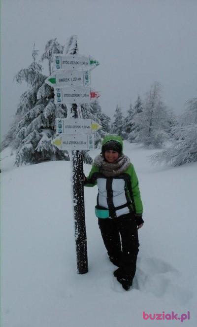 Dorota, Kobieta, 37, Wrocław, Polska, Zdjęcie: 4