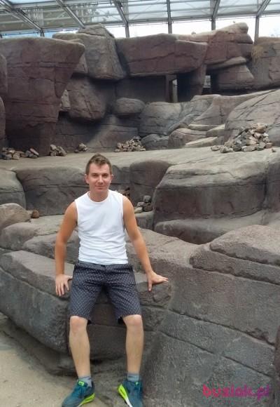 Pawelll, Mężczyzna, 34, Lubaczów, Polska, Zdjęcie: 2