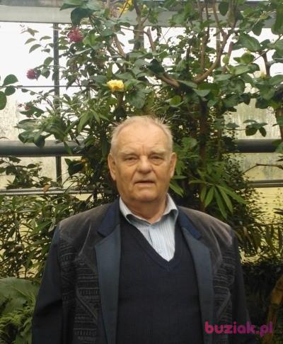 Antoni, Male, 78, Radzymin, Polska, Photo: 2