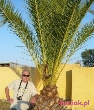 Jarek, Male, 61, Kielce, Polska, Photo: 8