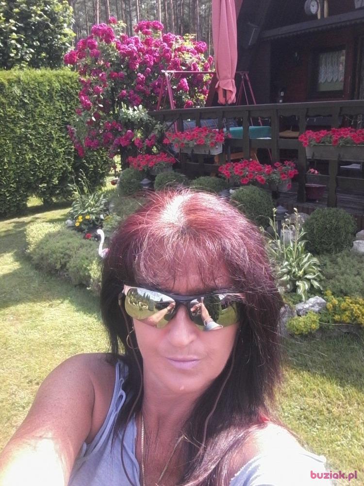 IZABELLA, Kobieta, 58, Katowice, Polska, Zdjęcie: 2