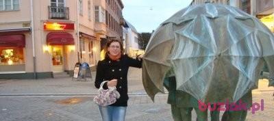 natalia, Female, 39, Strzelce Krajeńskie, Polska, Photo: 3