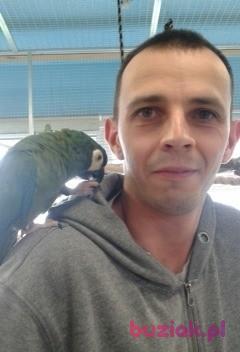 Krzysztof, Male, 41, Ostróda, Polska, Photo: 5