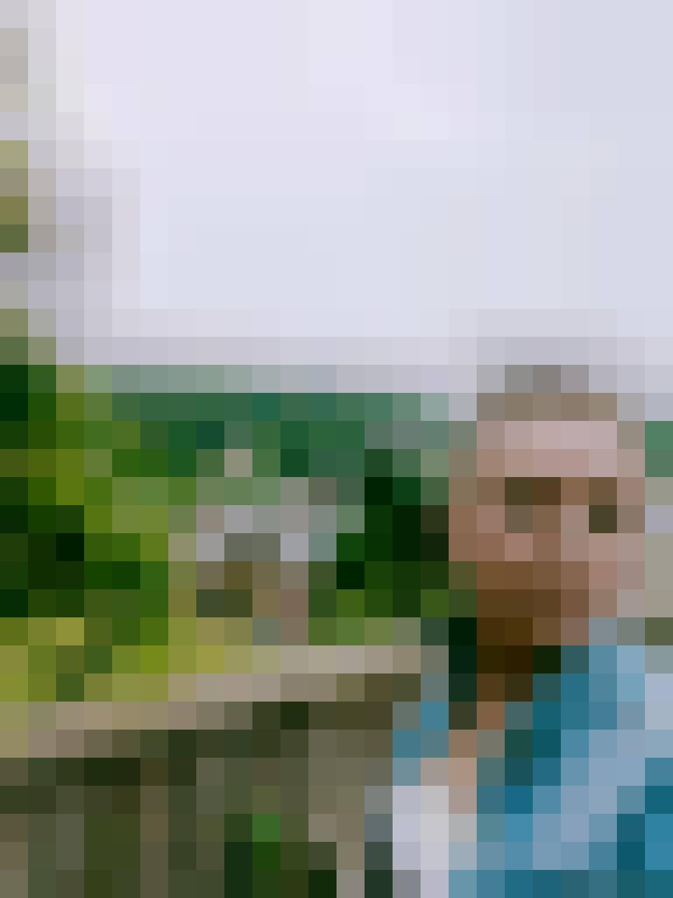 Doris, Kobieta, 42, Rotterdam, Holandia, Zdjęcie: 2