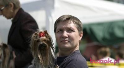 Toma01, Male, 65, Piaseczno, Polska, Photo: 8