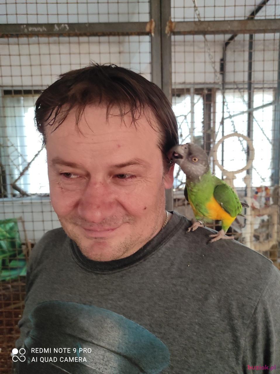 Tomasz, Male, 53, Zawiercie, Polska, Photo: 2