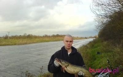 Marcin, Male, 44, Mrocza, Polska, Photo: 3